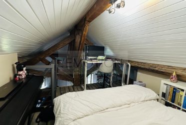 Charmant appartement rénové dans les combles - Meyrin-Village