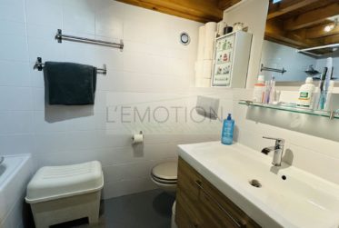 Charmant appartement rénové dans les combles - Meyrin-Village