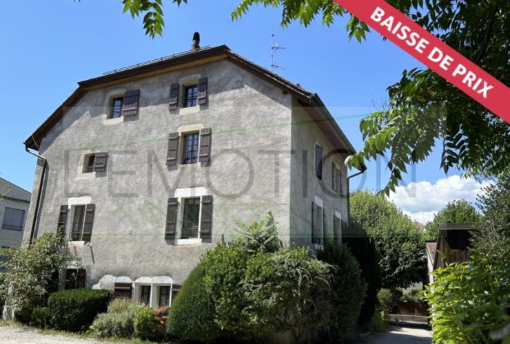Charmant appartement rénové dans les combles - Meyrin-Village