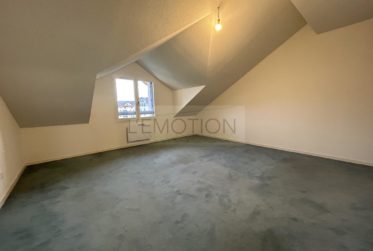 EXCLUSIVITÉ - Superbe duplex à 200 m de la Douane de Perly dans Résidence privée avec piscine et tennis - St-Julien-en-Genevois