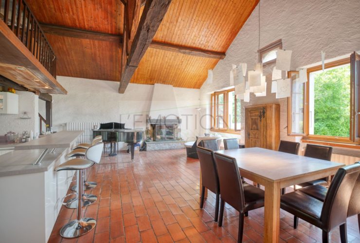 EXCLUSIVITE - Spacieuse Maison de Village composée de 3 bâtiments en plein coeur de Sézegnin