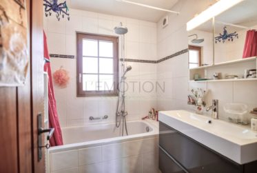 EXCLUSIVITE - Spacieuse Maison de Village composée de 3 bâtiments en plein coeur de Sézegnin