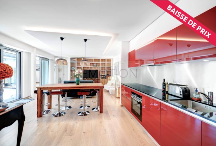 SUPERBE APPARTEMENT CONTEMPORAIN AU SEIN D'UNE RÉSIDENCE DE HAUT STANDING À DEUX PAS DU LAC