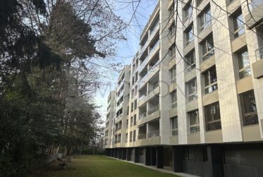 Exclusivité - Agréable 2 Pièces au rez-de-chaussée à Grange-Canal IDEAL POUR INVESTISSEURS