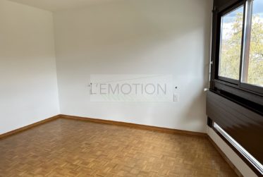 Exclusivité : Charmant Appartement de 3 Pièces au bord de l'Arve