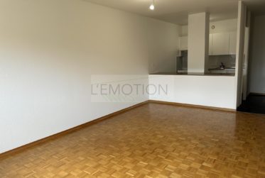 Exclusivité : Charmant Appartement de 3 Pièces au bord de l'Arve