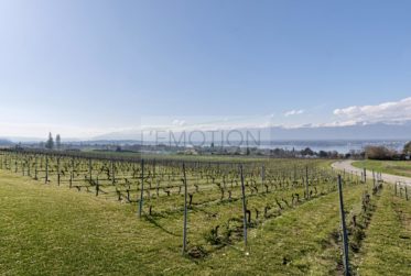 Magnifique Appartement rénové de 5 pièces au calme absolu en campagne genevoise